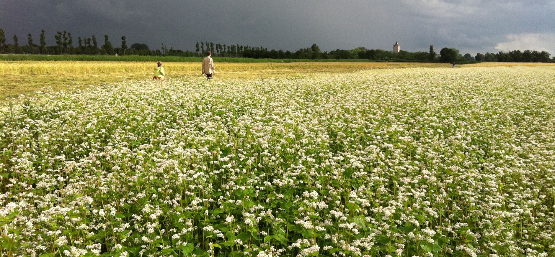 Geocaching op landgoed Haarzuilens