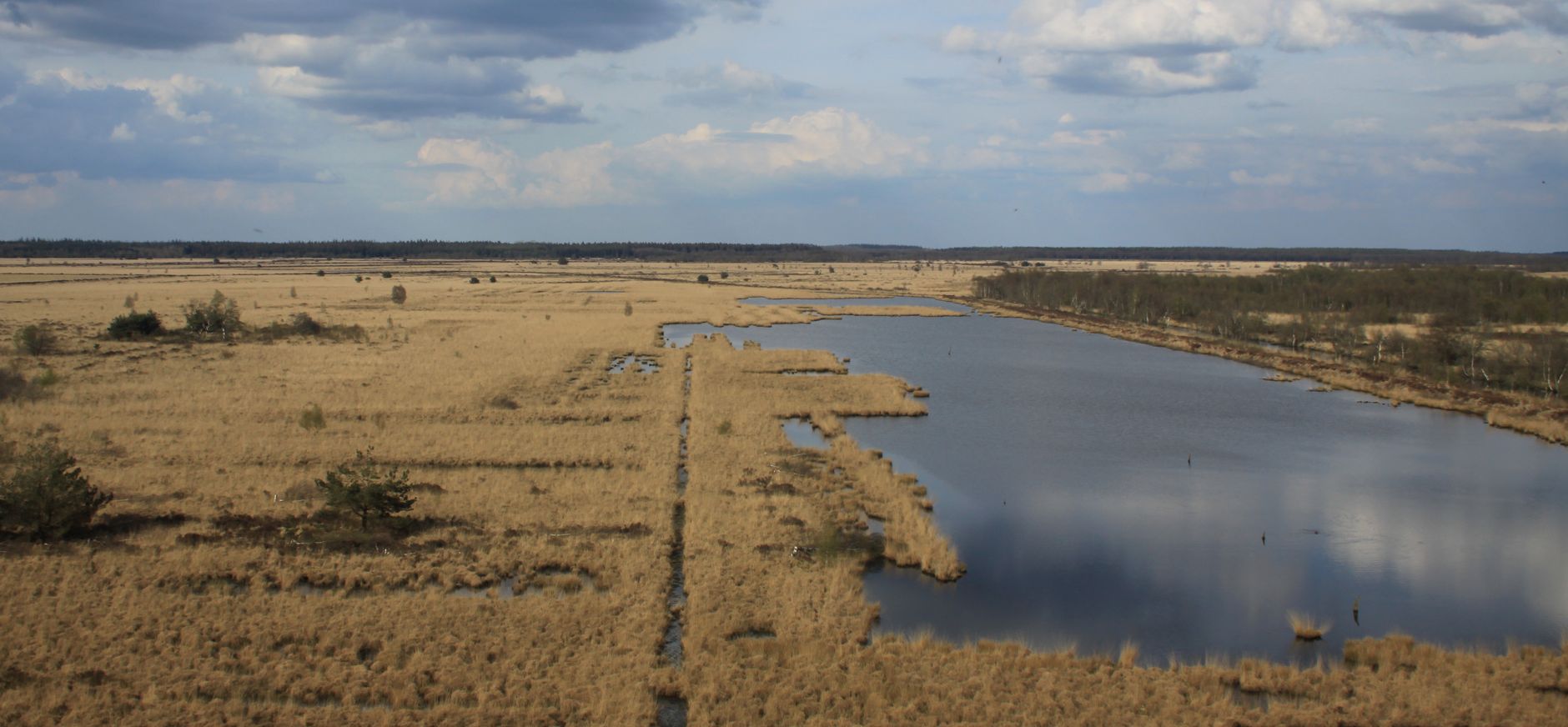 Fietsroute Fochteloërveen