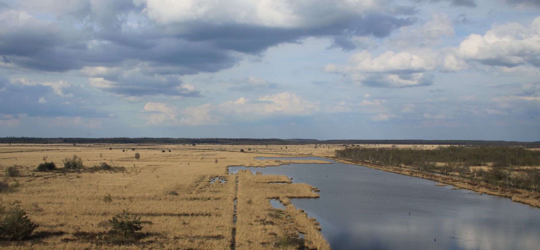 Fietsroute Fochteloërveen