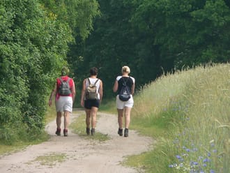 Groene route - Sprengenberg Sallandse Heuvelrug