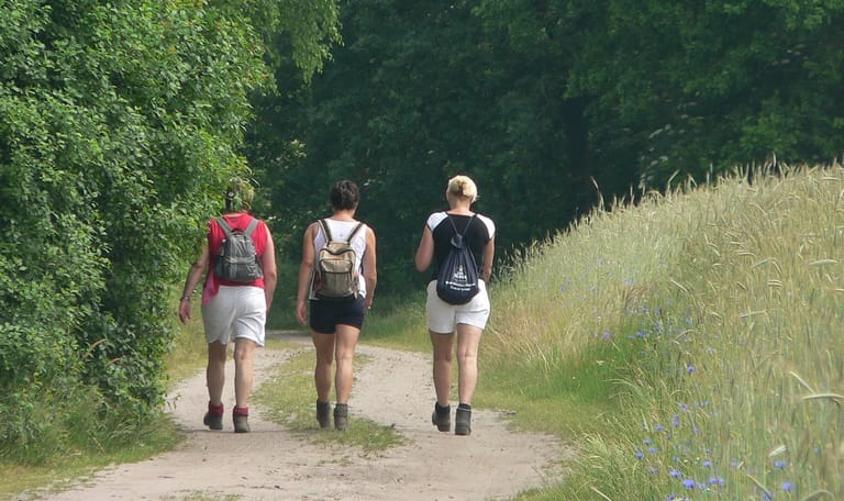 Groene route - Sprengenberg Sallandse Heuvelrug