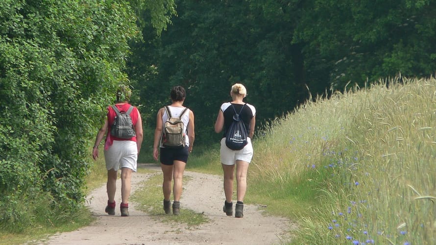 Groene route - Sprengenberg Sallandse Heuvelrug