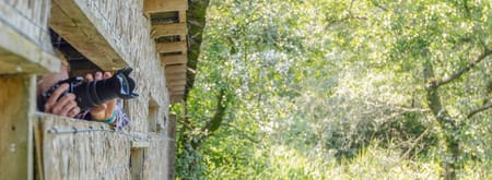 Vaartocht naar de aalscholvers - De Wieden