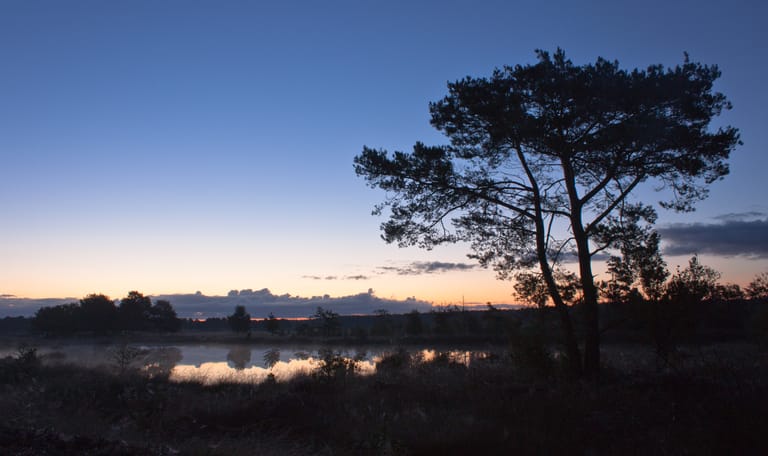 Ochtendwandeling op het Dwingelderveld