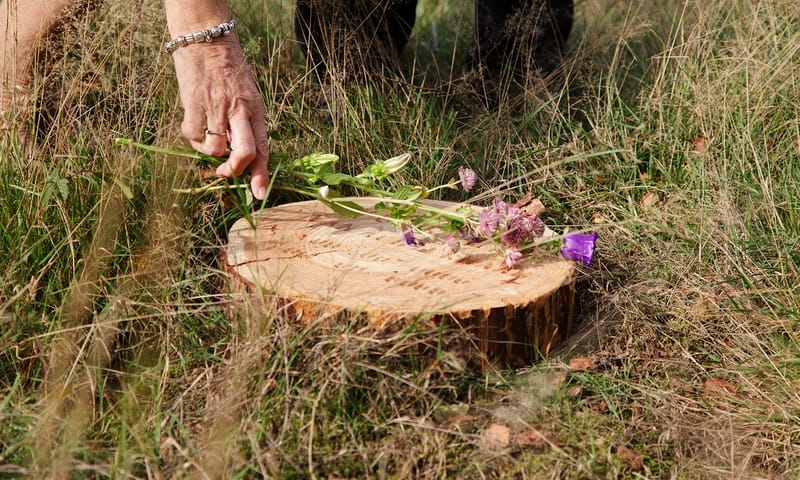 Opening natuurbegraafplaats Maashorst