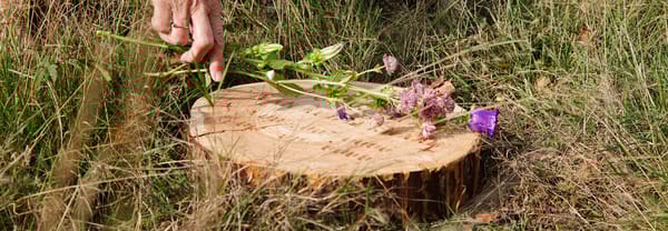 Opening natuurbegraafplaats Maashorst