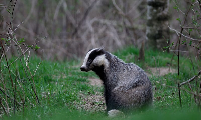 Das Natuurmonumenten