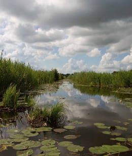 Zuid-Holland