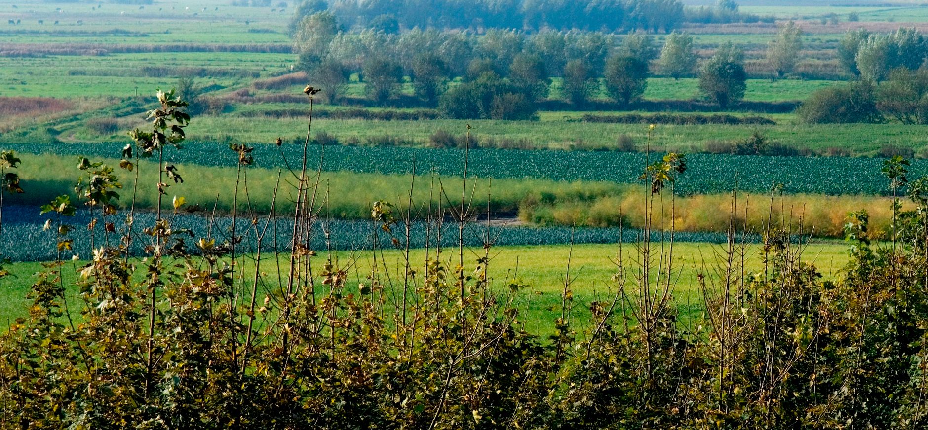 Noordpolder van Ossendrecht