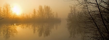 Varen op het Naardermeer voor dag en dauw Varen op het Naardermeer voor dag en dauw