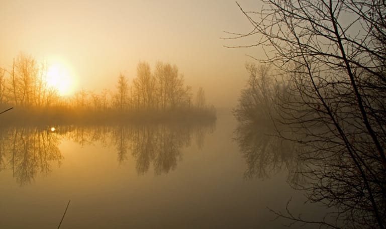 Varen op het Naardermeer voor dag en dauw