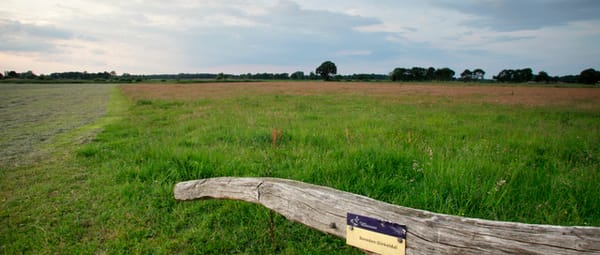 Vogelkijkhut Ottershagenschöpke