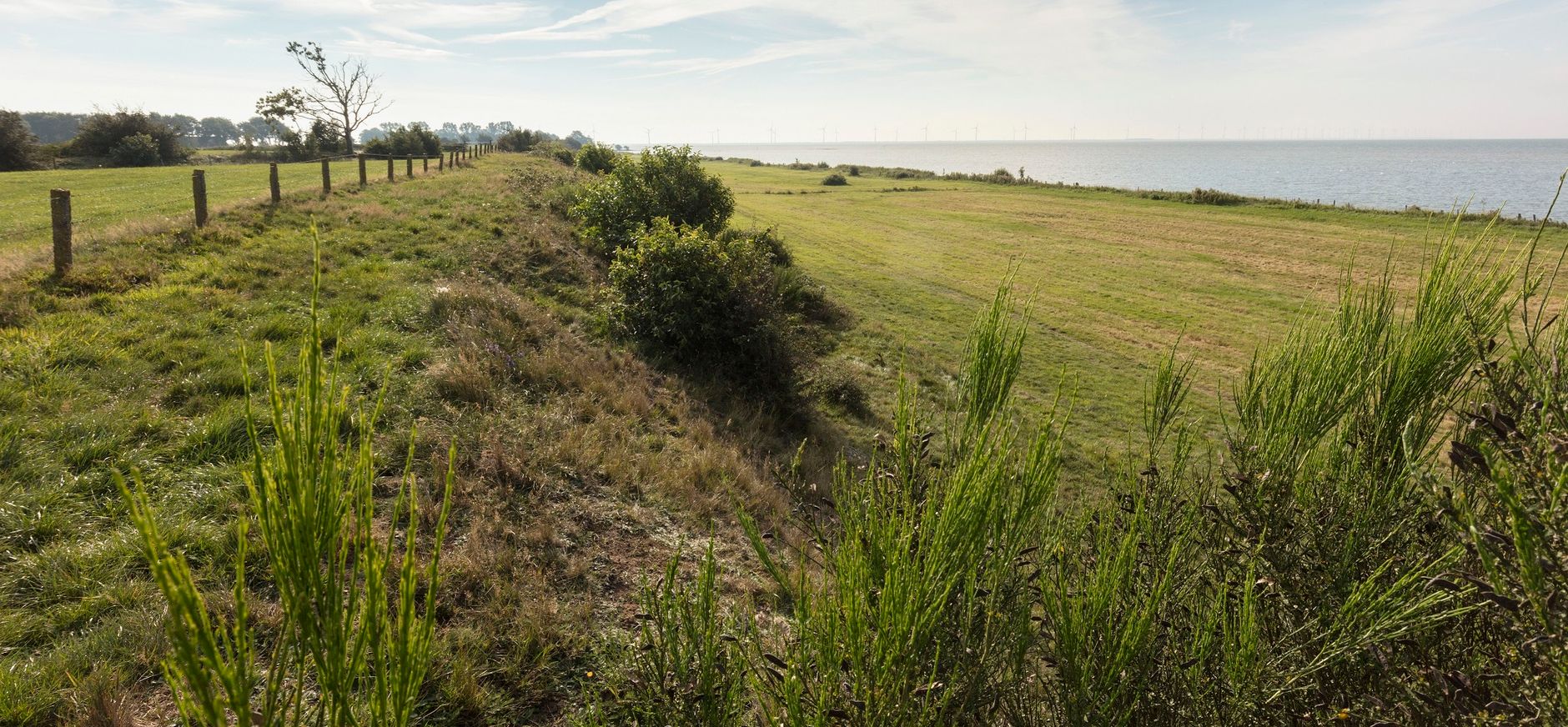 © Natuurmonumenten - Roelof Bos Oudemirdumerklif, Gaasterland, Friesland