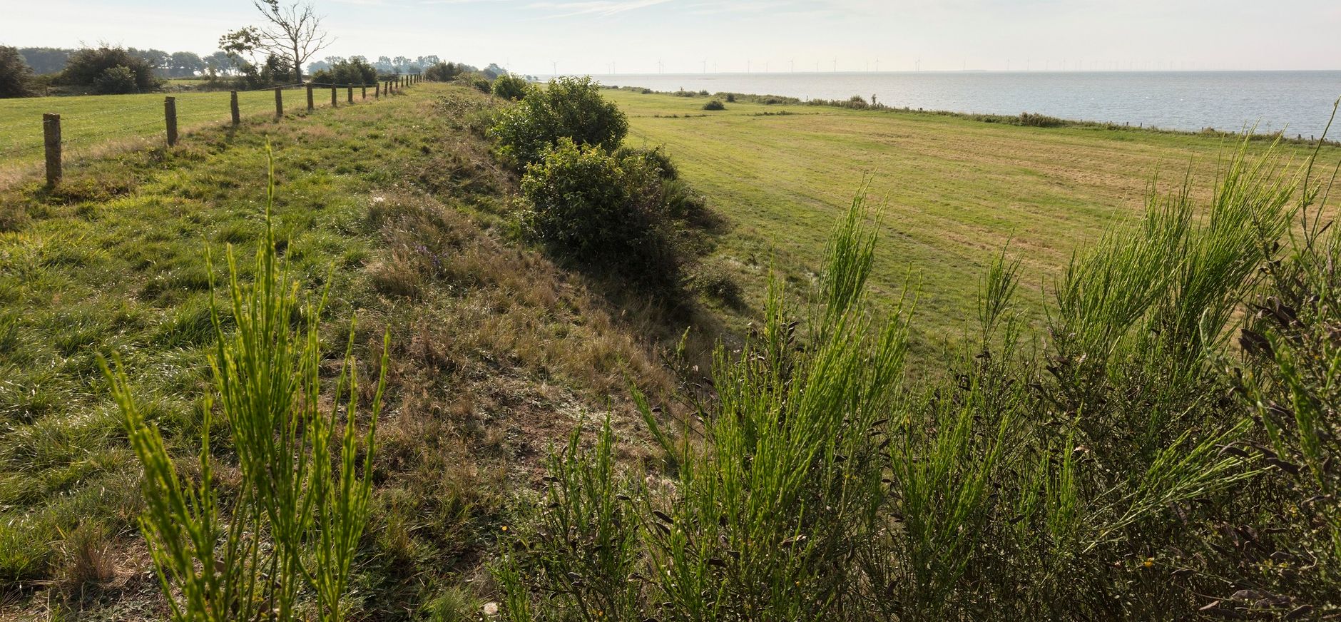 © Natuurmonumenten - Roelof Bos Oudemirdumerklif, Gaasterland, Friesland