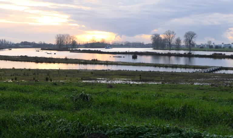 Hemelrijkse Waard