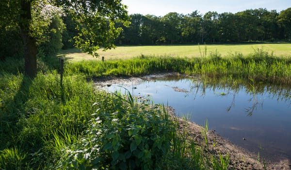 Boerderij Nevenzel