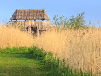 Kijkhut Harderbroek