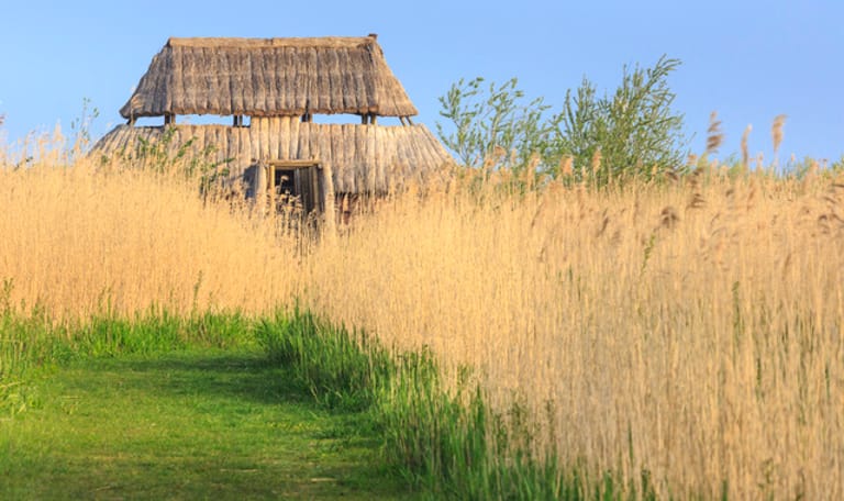 Kijkhut Harderbroek