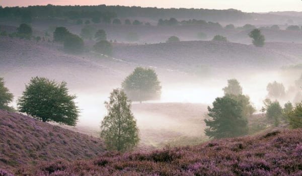 Uitkijkpunt Heuvense bergen Uitkijkpunt Heuvense bergen