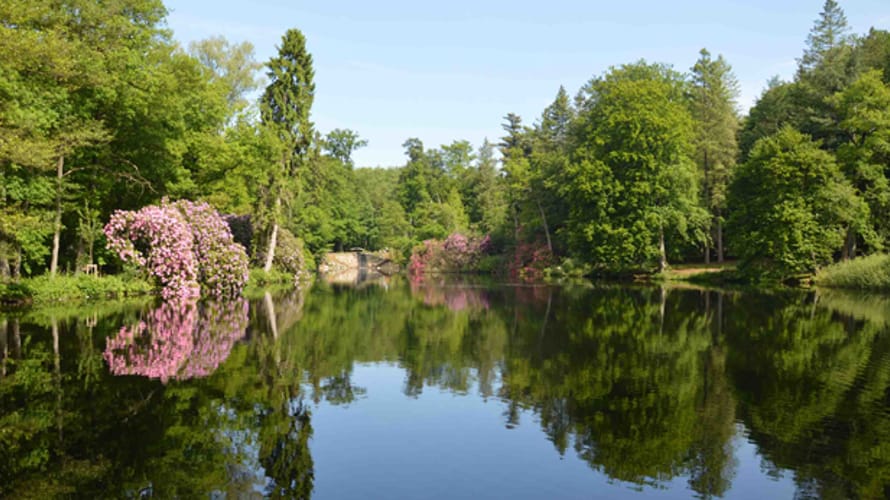 Landgoed Beekhuizen Landgoed Beekhuizen