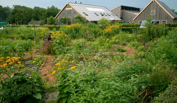 Zorgboerderij en open erf