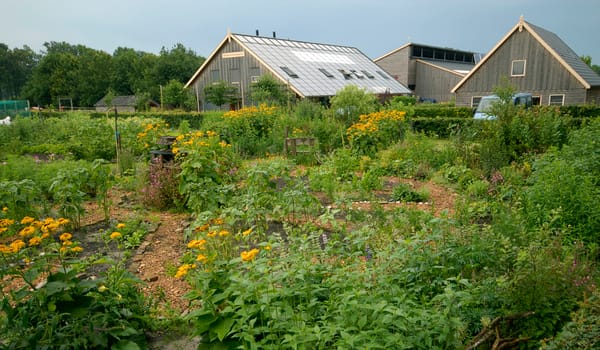 Zorgboerderij en open erf Zorgboerderij en open erf