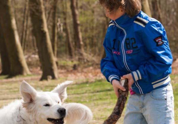 Honden losloopgebied