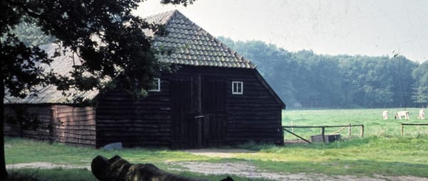 Schaapskooi Schaapskooi