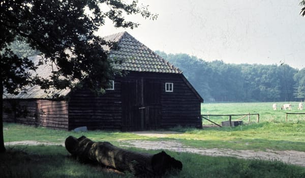 Schaapskooi