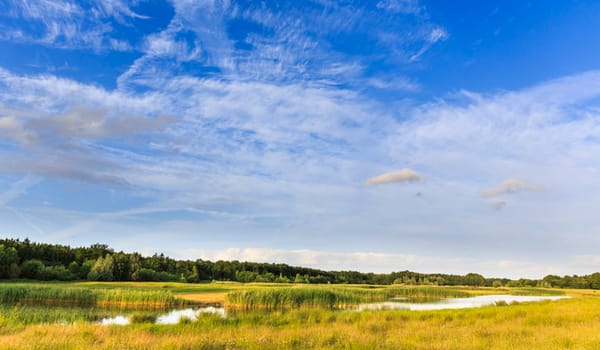 Uitzicht Kadoelerveld