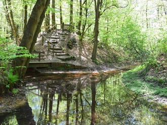 Sprengen