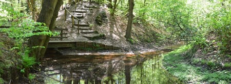 Sprengen