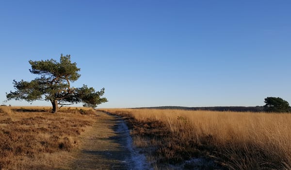 Smeltwatervlakte