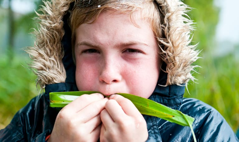 Paardenbloem fluit maken