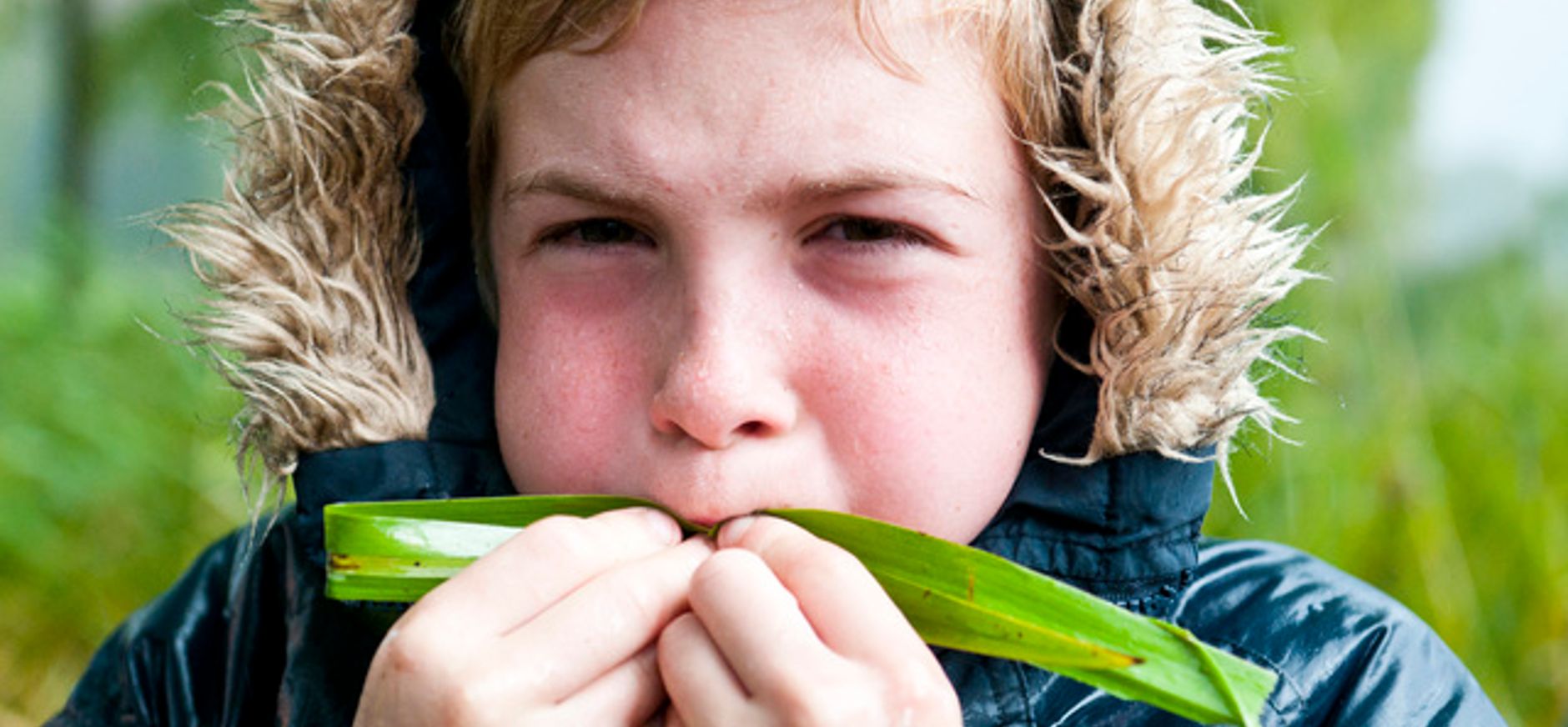 Paardenbloem fluit maken