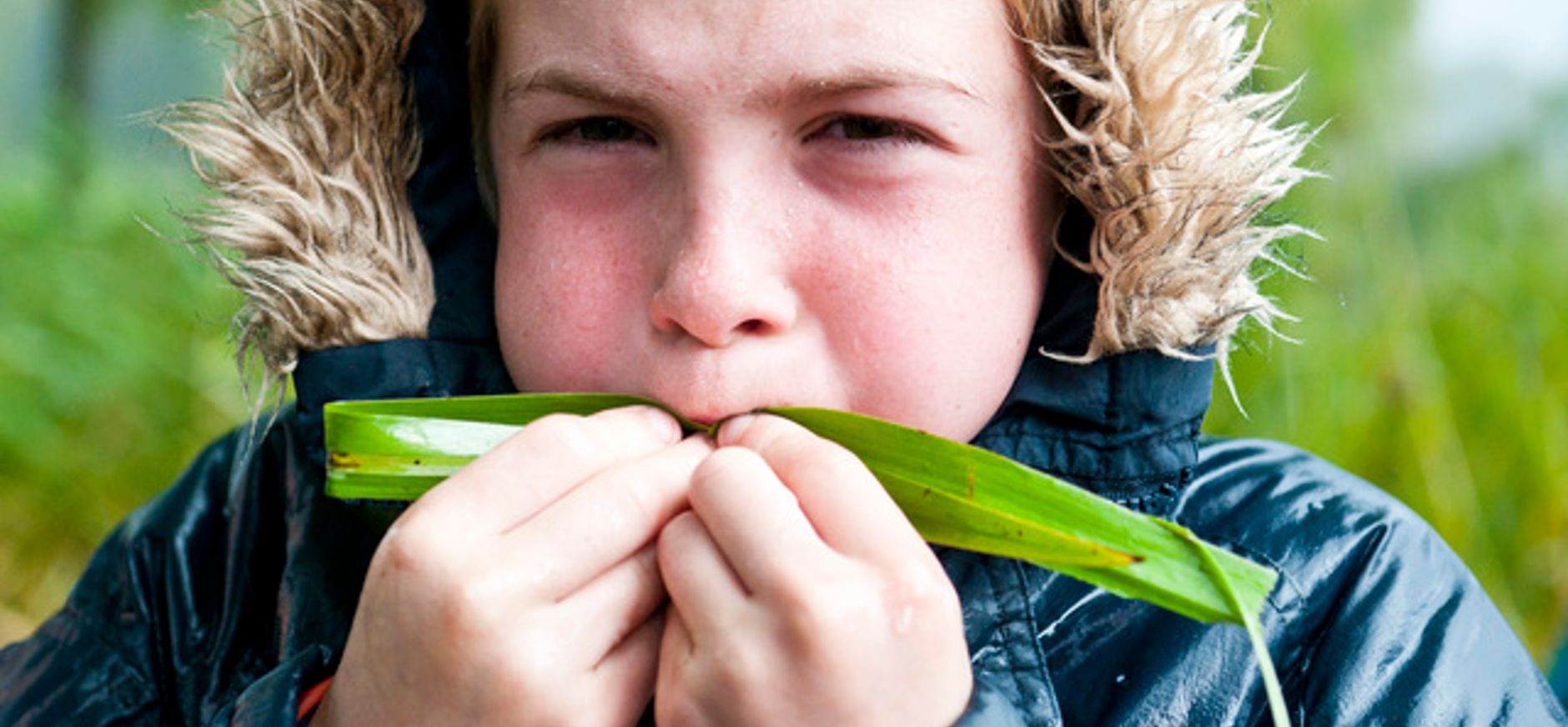 Maak je eigen paardenbloemenfluit Paardenbloem fluit maken