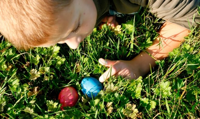 OERRR Varen naar Paaseiland - Nieuwkoopse Plassen