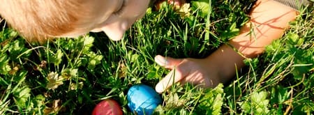 OERRR Varen naar Paaseiland - Nieuwkoopse Plassen