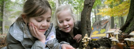OERRR paddenstoelen - Leuvenumse bossen