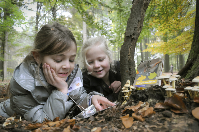 OERRR Paddenstoelenexpeditie in het Metbroekbos