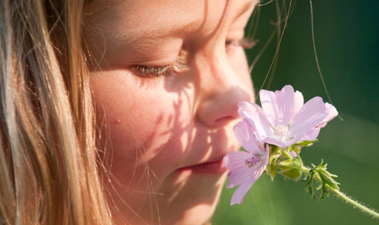 Zelf een lekker parfum maken
