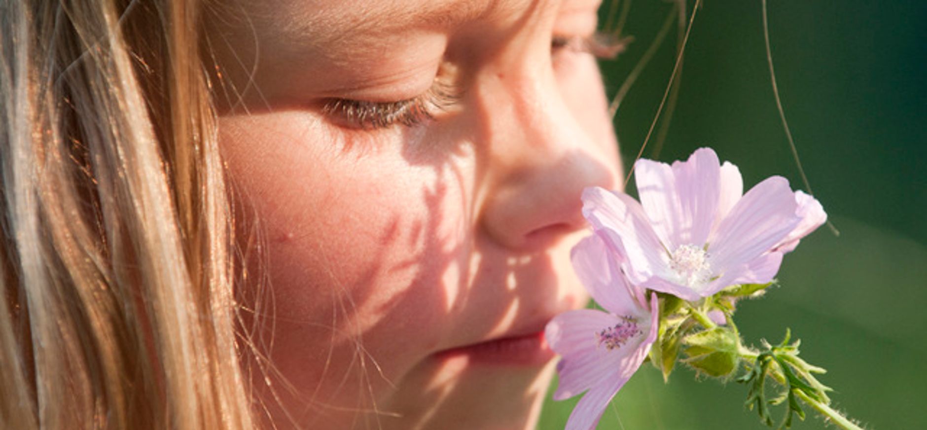 Zelf een lekker parfum maken
