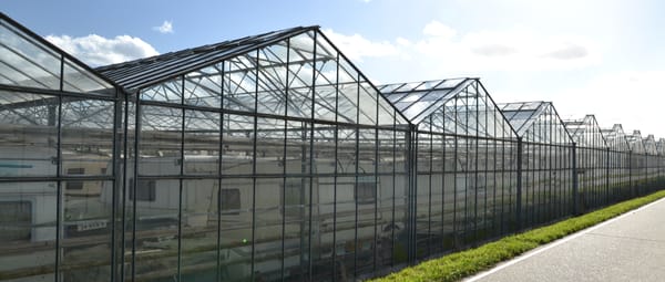 De tuinbouwstreek