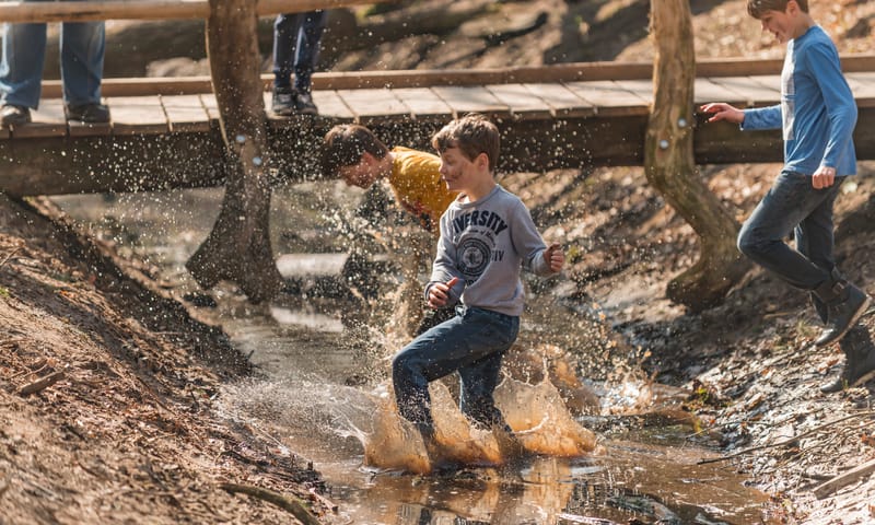 Speelnatuur van OERRR in Oisterwijk