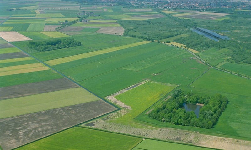 Oude eendenkooi Rijskampen Natuurmonumenten