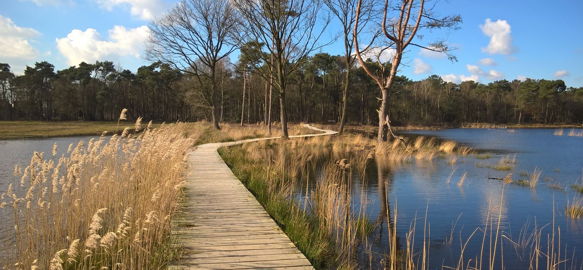 Denk mee over de toekomst van Visdonk en Rucphense Bossen Denk mee over de toekomst van Visdonk en Rucphense Bossen