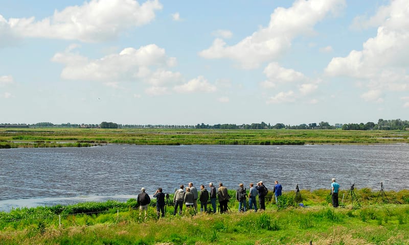 Groene Jonker