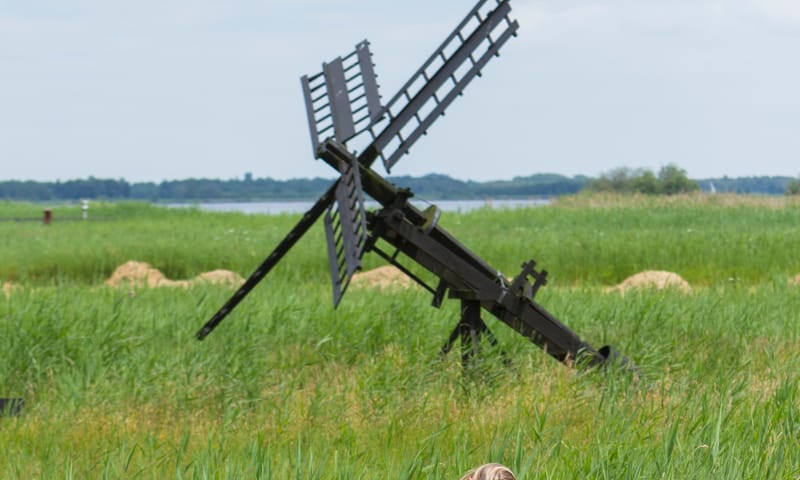 Tjasker