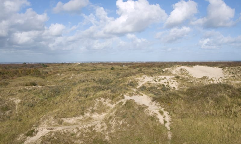 Uitzicht over Schiermonnikoog