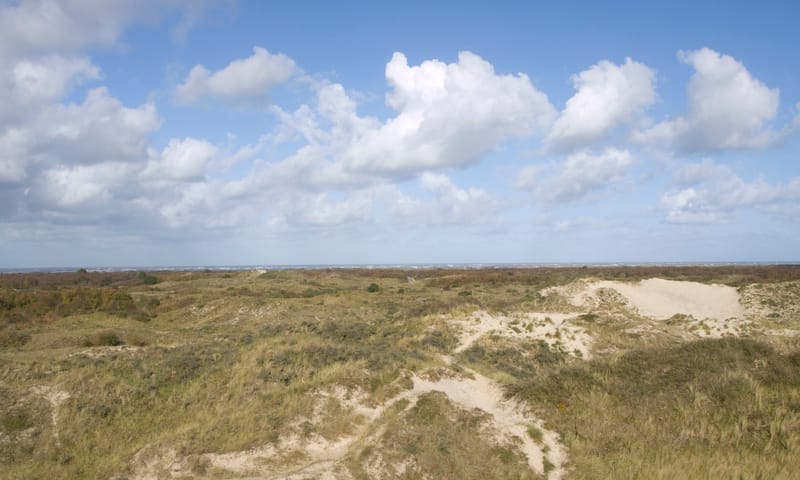 Uitzicht over Schiermonnikoog